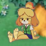  animal_crossing anthro barefoot canid canine canis clothed clothing countershade_feet countershading domestic_dog feet female foot_focus fur hi_res isabelle_(animal_crossing) luvby mammal nintendo paws shih_tzu smug soles solo toes toy_dog video_games yellow_body yellow_fur 