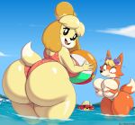  2022 absurd_res animal_crossing anthro areola audie_(animal_crossing) ball beach_ball big_breasts big_butt blush breasts butt canid canine canis clothed clothing covering covering_breasts detailed_background domestic_dog embarrassed female fox group hi_res huge_breasts huge_butt inflatable isabelle_(animal_crossing) looking_at_breasts looking_at_viewer looking_back lutrine male mammal mustelid nintendo one_eye_closed pascal_(animal_crossing) short_stack smile swimwear thick_thighs topless trio ultrastax video_games water wink 