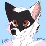  ambiguous_gender anthro black_body black_fur brown_eyes canid canine canis dated digital_media_(artwork) domestic_dog eyebrows facial_tuft fluffy fluffytoast fur hi_res inner_ear_fluff mammal neck_tuft shaded solo tuft white_body white_fur 