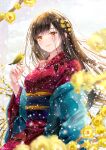  1girl akasaka_asa bangs bird bird_on_hand blurry blurry_foreground blush braid brown_hair closed_mouth floral_print flower hair_flower hair_ornament hand_up haori highres japanese_clothes japanese_white-eye kimono long_hair looking_at_viewer obi obiage obijime orange_eyes original outdoors print_kimono red_kimono sash smile snow solo wide_sleeves winter yellow_flower 