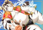  2022 anthro belly big_belly blue_eyes blush bottomwear bulge clothed clothing eyewear felid fur glasses humanoid_hands kemono licho_(tas) lifewonders male mammal moobs nazebesu_hobby open_clothing open_shirt open_topwear overweight overweight_male pantherine shirt shorts solo tiger tokyo_afterschool_summoners topwear video_games white_body white_fur 