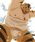  2022 anthro armpit_hair asian_clothing bandage belly big_belly body_hair bulge clothing east_asian_clothing felid fundoshi hi_res hon55728 japanese_clothing kemono male mammal moobs nipples one_eye_closed overweight overweight_male pantherine solo tiger tongue tongue_out underwear wet white_clothing white_fundoshi white_underwear 