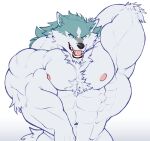  abs anthro big_muscles black_nose blue_body blue_fur brand_new_animal canid canine canis chest_tuft flexing fur green_eyes hi_res huge_muscles hyper hyper_muscles inner_ear_fluff kinaruoopsy male mammal multicolored_body multicolored_fur muscular navel nipples pink_nipples pink_tongue pose shirou_ogami simple_background solo studio_trigger tongue tuft white_body white_fur wolf 