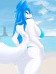  2022 absurd_res aleak_r anthro beach big_breasts big_butt bikini biting_cloth blue_eyes blue_hair blush bra breasts butt canid canine clothed clothing colored detailed_background digital_drawing_(artwork) digital_media_(artwork) english_text female fox fur hair hi_res huge_breasts leg_grab looking_at_viewer looking_back mammal outside rear_view sand sea seaside shaded side_boob signature sky smile solo swimwear text thick_thighs underwear url water watermark white_body white_fur wide_hips 