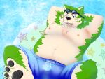  2022 anthro belly big_belly black_nose bottomwear canid canine canis clothing domestic_dog green_body kemono kogamaru lifewonders live-a-hero male mammal mokdai moobs navel nipples one_eye_closed overweight overweight_male shorts solo swimwear video_games wink 