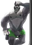  anthro armpit_tuft balls bedroom_eyes bottle bottomwear canid canine canis clothed clothing dexx_(shirteater18) domestic_dog flaccid fur genitals green_eyes grey_body grey_fur grin hi_res looking_at_viewer male mammal multicolored_body multicolored_fur muscular muscular_anthro muscular_male narrowed_eyes naschethedoggo naschethelion nipples partially_clothed penis pit_bull seductive shorts shorts_down smile solo two_tone_body two_tone_fur 
