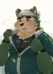  10_cosmo_24 anthro bandanna blush bodily_fluids canid canine canis clothing domestic_dog eyebrows fur green_body green_eyes green_fur hi_res jacket kerchief lifewonders live-a-hero male mammal mokdai overweight solo sweat thick_eyebrows topwear video_games wristband zipper 