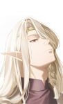  1boy breasts dearia dhfz181 dragon_ie_wo_kau elf highres large_breasts long_hair male_focus pointy_ears purple_eyes simple_background white_background white_hair 