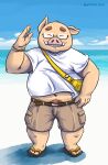  2022 absurd_res anthro beach belly bottomwear clothing detailed_background domestic_pig eyes_closed eyewear footwear glasses hi_res humanoid_hands kemono male mammal navel outside overweight overweight_male sandals seaside shirt shorts solo suid suina sus_(pig) topwear tunx2 water 