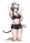  1girl absurdres animal_ear_fluff animal_ears arknights armpits arms_behind_head arms_up bangs bare_arms bare_legs bare_shoulders barefoot black_scarf black_shorts breasts cat_ears cat_tail cleavage commentary crop_top grey_hair hair_between_eyes highres large_breasts long_hair looking_at_viewer midriff navel onedr ponytail scarf schwarz_(arknights) short_shorts shorts simple_background sleeveless solo stomach tail thighs white_background yellow_eyes 