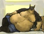  anthro aokamidu arm_support bed belly big_belly black_body black_fur brown_body brown_fur canid canine canis clothed clothing dobermann domestic_dog fur furniture inside love_handles lying lying_on_bed male mammal moobs navel nipples obese obese_anthro obese_male on_bed on_side overweight overweight_anthro overweight_male pinscher smile solo topless 