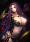  1girl breasts fate/grand_order fate_(series) forehead gorgon_(fate) highres large_breasts lips long_hair medusa_(fate) minami_koyogi navel purple_eyes purple_hair revealing_clothes stomach very_long_hair 
