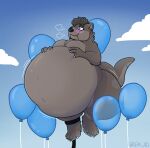  ankle_markings anthro balloon belly belly_expansion belly_inflation big_belly biped blue_pawpads blush brown_body brown_fur brown_hair claws cooper_(doctorotterface) countershade_face countershade_fur countershade_torso countershading digital_media_(artwork) expansion fur grem_ad hair hyper hyper_belly inflatable inflation leg_markings lighter_belly lutrine male mammal markings mustelid navel pawpads paws river_otter simple_background solo tail_markings thick_thighs white_claws 