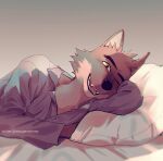  2022 anthro bed black_lips black_nose canid canine canis cheek_tuft clothed clothing collared_shirt digital_media_(artwork) dreamworks ears_front ears_up eyebrows facial_tuft fluffy fur furniture grey_body grey_fur inner_ear_fluff lips lying lying_on_bed male mammal mr._wolf_(the_bad_guys) nosugarnohoney on_bed on_side open_mouth pajamas pillow signature simple_background smile solo teeth the_bad_guys tuft wolf yellow_sclera 