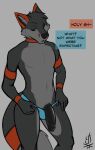  anthro black_penis bonfirefox canid canine clothed clothing fox fur genitals grey_body grey_fur hi_res humanoid_genitalia humanoid_penis male mammal partially_clothed penis solo underwear underwear_down 