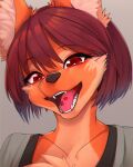  2022 absurd_res anthro bodily_fluids brown_eyes brown_hair brown_nose canid canine clothed clothing fangs female fur hair happy headshot_portrait hi_res kemono looking_at_viewer mammal maned_wolf multicolored_body multicolored_fur open_mouth open_smile orange_body orange_fur portrait saliva saliva_on_tongue short smile smiling_at_viewer solo teeth tongue white_body white_fur yellowparrottw 