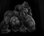  abdominal_bulge anthro ape belly big_belly black_body black_fur bodily_fluids drooling duo fur gorilla haplorhine hi_res male mammal muscular muscular_male primate saliva same_size_vore vhyena vore white_eyes 