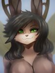  3:4 anthro antlers big_breasts black_hair breasts brown_body brown_fur brown_nose female fur general-irrelevant green_eyes hair hi_res horn hybrid insect_wings mits_(character) simple_background smile solo wings 