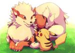  arcanine bright_pupils brown_eyes claws commentary_request eye_contact fangs grass highres ktyon3 looking_at_another lying open_mouth pikachu pokemon pokemon_(creature) standing white_pupils 