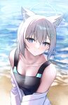  1girl 1z10 animal_ear_fluff animal_ears bare_shoulders beach black_swimsuit blue_archive blue_eyes blush breasts bright_pupils cleavage closed_mouth collarbone competition_swimsuit cross_hair_ornament day grey_hair hair_ornament halo highres long_hair looking_at_viewer medium_breasts off_shoulder one-piece_swimsuit open_clothes open_shirt outdoors shiroko_(blue_archive) shirt smile swimsuit upper_body water white_shirt wolf_ears 