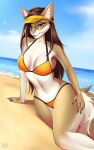  absurd_res anthro beach bra brown_hair canid canine canis clothing eyewear female glasses hair headgear hi_res looking_at_viewer mammal panties sea seaside smile smiling_at_viewer solo summer swimwear underwear v3nusbby water wolf yellow_eyes 