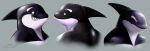  anthro black_body black_skin cephl cetacean delphinoid facial_expressions fin frown looking_back male mammal marine oceanic_dolphin orange_eyes orca smile solo teeth toothed_whale white_body white_skin 