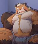  2022 anthro belly big_belly blush bottomwear brown_body brown_fur bulge cai_yuwang canid canine clothing fur kemono male mammal moobs nipples overweight overweight_male raccoon_dog shorts sitting solo tanuki 