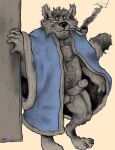  anthro bathrobe bottomless bug_chasing canid canine clothed clothing daddy_kink fox hairy hiv looking_at_viewer male mammal poz robe slightly_chubby smoking smoking_pipe solo yagi_b._(artist) 