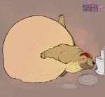  belly benny big_belly cake canid canine canis dessert domestic_dog food hi_res mammal overstuffed overweight 