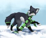  canid canine feral fox helio_(character) male mammal scarf snow solo sushi-s walking 
