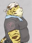  2022 anthro belly big_belly clothing felid hi_res kemono male mammal overweight overweight_male pantherine pink_nose pommn_mn shirt simple_background solo tiger topwear towel towel_around_neck 
