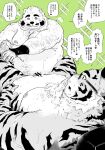  2022 anthro belly big_belly blush censored duo felid genitals hi_res humanoid_hands japanese_text kemono lying male male/male mammal massage mature_male moobs nipples overweight overweight_male pantherine penis shintatokoro text tiger ursid 