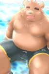  2022 anthro belly big_belly black_nose bottomwear brown_body brown_fur clothing ear_piercing ear_ring eyes_closed fur hi_res kemono kisukemk777 male mammal moobs overweight overweight_male piercing ring_piercing shorts sitting solo swimwear ursid water 