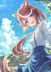  1girl :d absurdres animal_ears bag bangs blue_eyes blue_skirt blue_sky blush breasts brown_hair casual cleavage cloud collarbone cowboy_shot day grass hair_strand handbag high_ponytail highres horse_ears horse_girl horse_tail leaf lens_flare long_hair long_sleeves looking_at_viewer mikami_hotaka outdoors shirt sidelocks skirt sky smile solo stairs standing stone_stairs tail teeth tokai_teio_(umamusume) tree umamusume upper_teeth very_long_hair white_shirt 