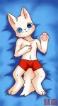  arctic_fox blue_eyes canid canine canis chinese_text clothing fox heterochromia humanoid jinxi_frauder laid_down male mammal panties pawpads pink_pawpads red_clothing red_panties red_underwear simple_background simple_coloring solo text underwear white_body 