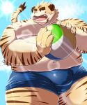  2022 anthro ball belly big_belly blush bulge clothing felid hi_res humanoid_hands kemono male mammal mohumohudansi moobs navel nipples outside overweight overweight_male pantherine pink_nose solo sun swimwear tiger 