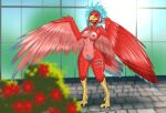  2022 after_transformation anthro avian beak bird blue_eyes blue_hair breasts digital_media_(artwork) feathered_wings feathers female hair halcy0n hi_res nipples red_body red_feathers solo spread_wings standing talons wings 