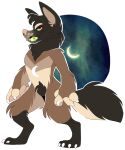  arm_tuft black_body black_ears black_fur black_head_tuft brown_body brown_fur canid canine canis cheek_tuft chest_markings claws clothing digitigrade facial_tuft featureless_crotch fingerless_gloves front_view fur gloves grin handwear knee_tuft leg_tuft looking_at_viewer mammal markings moon_(marking) neck_tuft pawpads pink_nose pink_pawpads princelykaden red_eyes smile tan_body tan_fingers tan_fur tan_inner_ear teeth tuft were werecanid werecanine werewolf white_claws wolf 