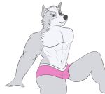  abs animal_humanoid anthro biceps big_butt briefs bulge butt canid canid_humanoid canine canine_humanoid canis clothed clothing hi_res humanoid jessoji male mammal mammal_humanoid muscular muscular_anthro muscular_male nintendo pecs pink_clothing pink_underwear solo star_fox underwear underwear_only video_games wolf wolf_o&#039;donnell 