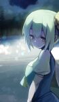  1girl absurdres blurry blurry_background daiyousei depth_of_field gomeifuku green_eyes green_hair highres light_particles looking_at_viewer night outdoors puffy_short_sleeves puffy_sleeves short_hair short_sleeves solo touhou upper_body 