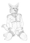 absurd_res anthro balls bdsm canid canine canis claws collar coyote cuffs_(clothing) erection genital_piercing genitals harness hi_res kojote leash lorum_piercing male mammal penis penis_piercing piercing prince_albert_piercing shinigamigirl solo 