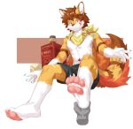  4_toes absurd_res anthro barefoot bottomwear brown_hair canid canine claws clothing feet foot_grab fur hair heterochromia hi_res joeyzliaotang male mammal multicolored_body multicolored_fur pawpads paws scarf shorts soles solo toes white_body white_fur 