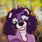  absurd_res ailurid anthro auzy canid canine canis clothed clothing detailed_background digital_drawing_(artwork) digital_media_(artwork) digital_painting_(artwork) domestic_dog ear_piercing eyes_closed eyewear fur glasses hair hi_res huge_filesize hybrid kathai male male/male mammal piercing portrait purple_body purple_clothing purple_fur purple_hair purple_shirt purple_topwear red_panda shirt smile solo topwear 