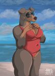  absurd_res anthro beach big_breasts borisramos breasts canid canine canis christie_(borisramos) chubby_female clothing cloudscape dobermann domestic_dog eyewear female glasses hi_res looking_at_viewer mammal navel pinscher red_clothing red_swimwear sea seaside sky slightly_chubby smile solo suggestive_pose swimwear water wide_hips 