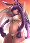  1girl animal_ears armpits arms_behind_head arms_up bangs bare_shoulders bikini blanket blush breasts contrapposto cowboy_shot dark-skinned_female dark_skin egyptian facepaint facial_mark faicha fate/grand_order fate_(series) highres holding holding_blanket jackal_ears jewelry long_hair looking_at_viewer low-tied_long_hair medium_breasts midriff navel nipples nitocris_(fate) nitocris_(swimsuit_assassin)_(fate) nude purple_eyes purple_hair sidelocks solo stomach swimsuit thigh_strap tiara very_long_hair white_swimsuit wide_hips 