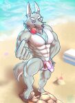  anthro bandanna beach bulge canid canine canis clothing cooler duo ear_piercing ear_ring flower hi_res hybrid iridescent iridescent_clothing jackal jake_vilandras kerchief male male/male mammal nipples piercing plant ring_piercing rose_(flower) sand seaside shovel stepping_on_face thebarabandit thong tools underwear water wolf 