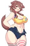  1girl :d animal_collar animal_ears blue_shorts bone_hair_ornament braid breasts brown_eyes brown_hair cleavage collar curvy dog_ears dog_girl dog_tail fang hair_ornament hand_on_hip highres hololive inugami_korone large_breasts matarou_(matarou072) nail_polish short_shorts shorts simple_background smile solo striped striped_legwear tail thighhighs twin_braids unzipped virtual_youtuber white_background yellow_nails 