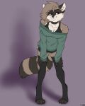  absurd_res cubic female foxboy83 hi_res mammal metriccaboose procyonid raccoon 