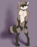  absurd_res cubic female foxboy83 hi_res mammal metriccaboose nude procyonid raccoon 