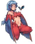  1girl bangs blue_eyes blue_feathers blue_hair blue_wings braid breasts bright_pupils commentary english_commentary feather_necklace feathers harpy harpy_(terraria) highres long_hair looking_at_viewer medium_breasts midriff monster_girl navel nyong_nyong open_mouth red_feathers reference_inset simple_background solo terraria twin_braids very_long_hair white_background winged_arms wings 